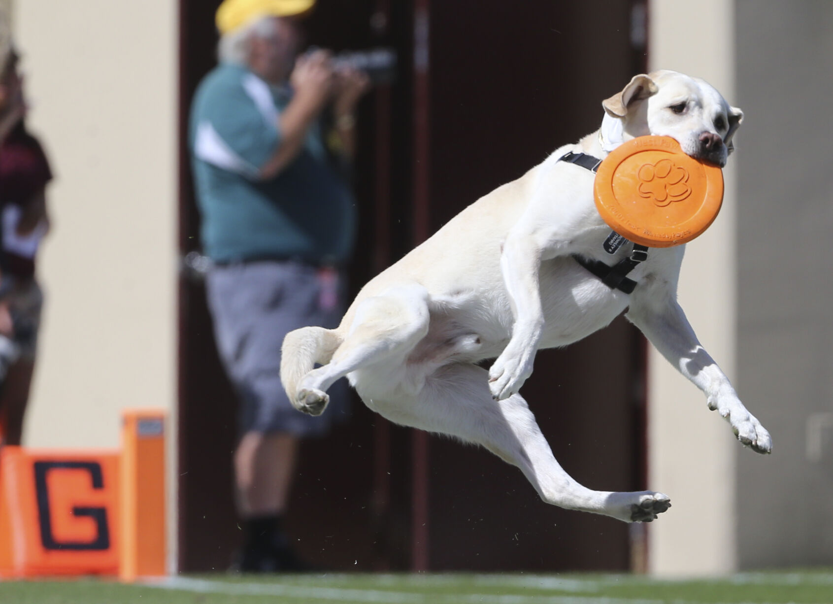 Richmond at Virginia Tech